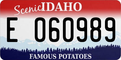 ID license plate E060989