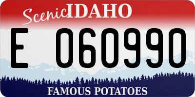 ID license plate E060990