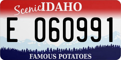 ID license plate E060991