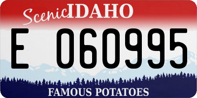 ID license plate E060995