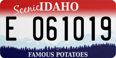 ID license plate E061019