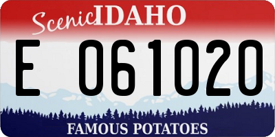ID license plate E061020