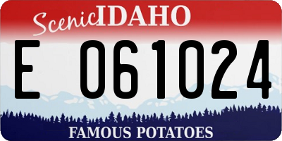 ID license plate E061024