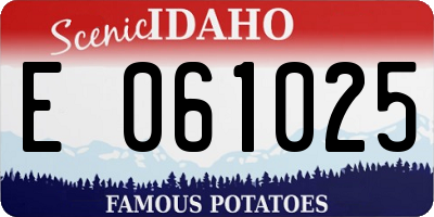 ID license plate E061025