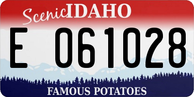 ID license plate E061028