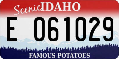 ID license plate E061029