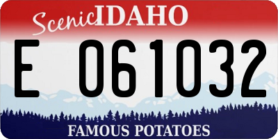 ID license plate E061032