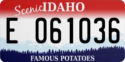 ID license plate E061036