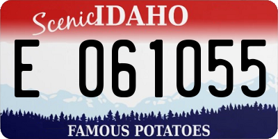 ID license plate E061055