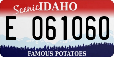 ID license plate E061060
