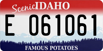 ID license plate E061061