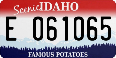 ID license plate E061065