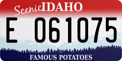 ID license plate E061075