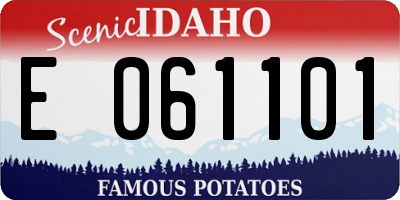 ID license plate E061101