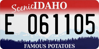 ID license plate E061105