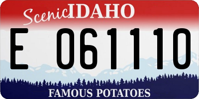 ID license plate E061110