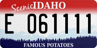 ID license plate E061111