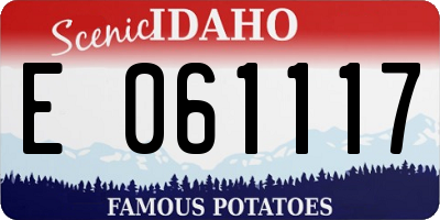 ID license plate E061117