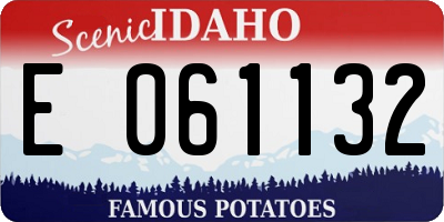 ID license plate E061132