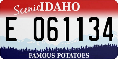 ID license plate E061134