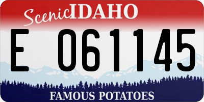 ID license plate E061145