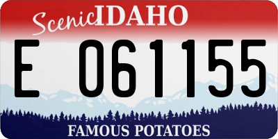 ID license plate E061155