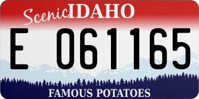 ID license plate E061165