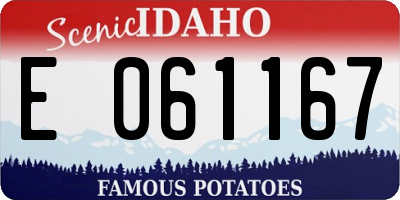 ID license plate E061167