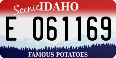 ID license plate E061169