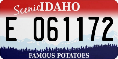 ID license plate E061172