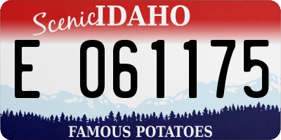 ID license plate E061175