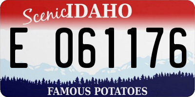 ID license plate E061176