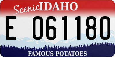 ID license plate E061180