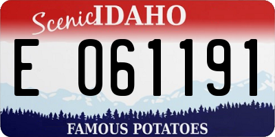ID license plate E061191