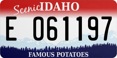 ID license plate E061197
