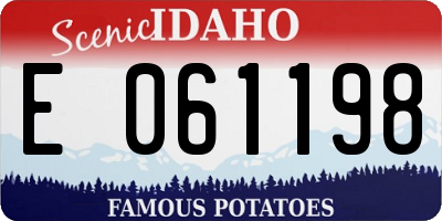 ID license plate E061198