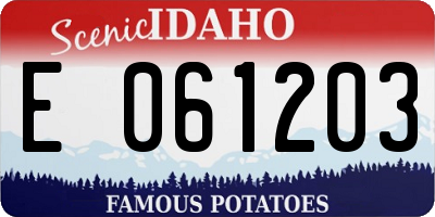 ID license plate E061203