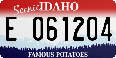 ID license plate E061204