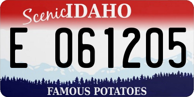 ID license plate E061205