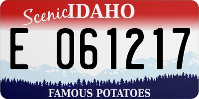 ID license plate E061217