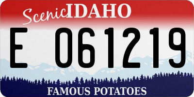 ID license plate E061219