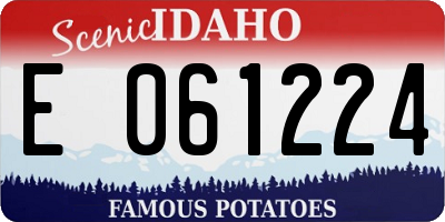 ID license plate E061224