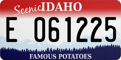 ID license plate E061225