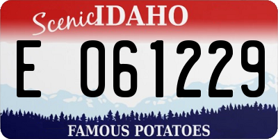 ID license plate E061229