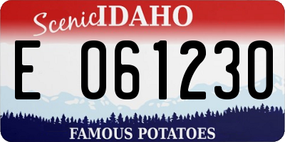 ID license plate E061230