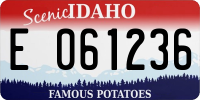 ID license plate E061236