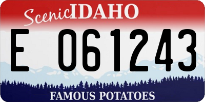 ID license plate E061243