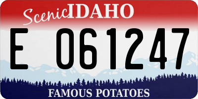 ID license plate E061247