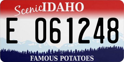 ID license plate E061248