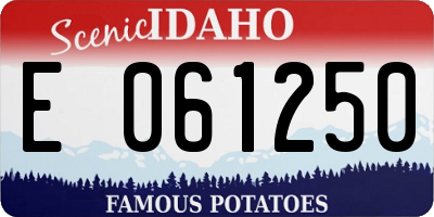 ID license plate E061250